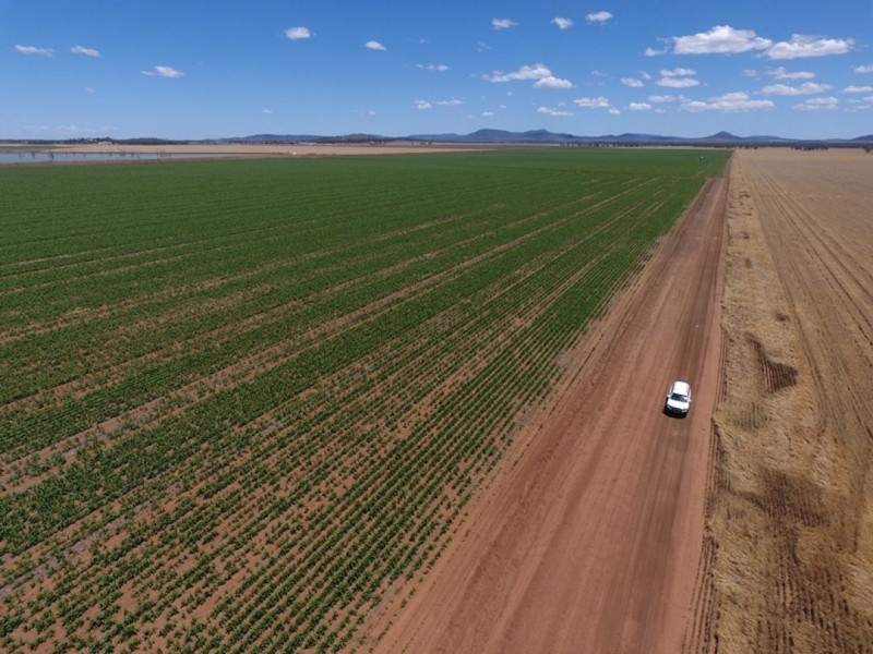 Weroona, Gunnedah NSW 2380