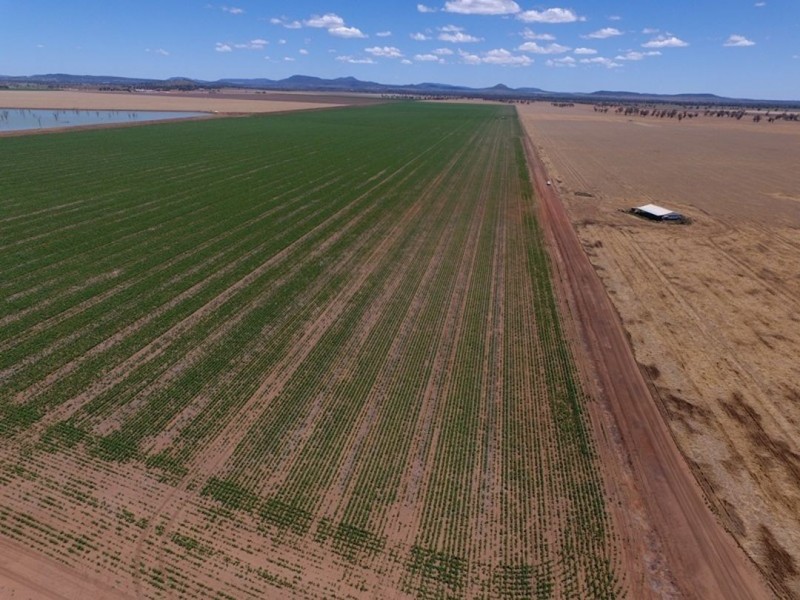 Weroona, Gunnedah NSW 2380