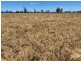 Weroona, Gunnedah NSW 2380