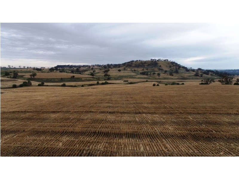 Kia Ora, Coolatai NSW 2402