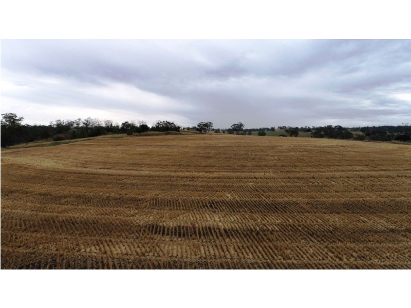 Kia Ora, Coolatai NSW 2402