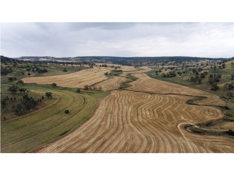 Kia Ora, Coolatai NSW 2402