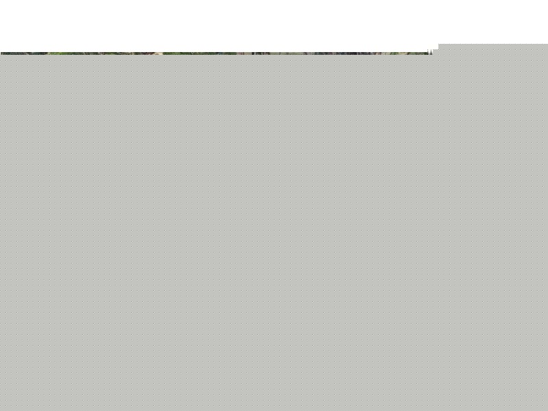 Kia Ora, Coolatai NSW 2402