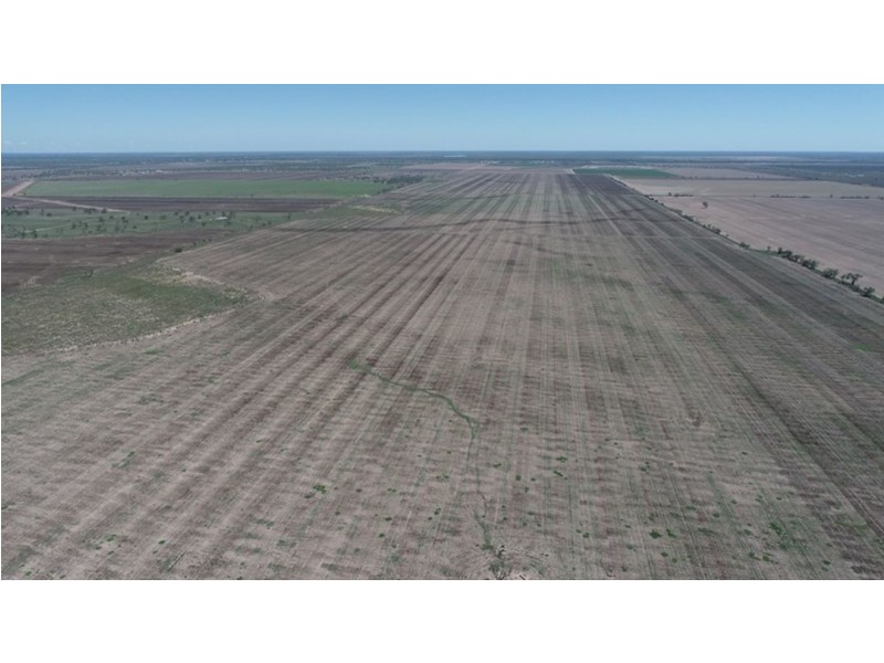 Congewoi, Walgett NSW 2832