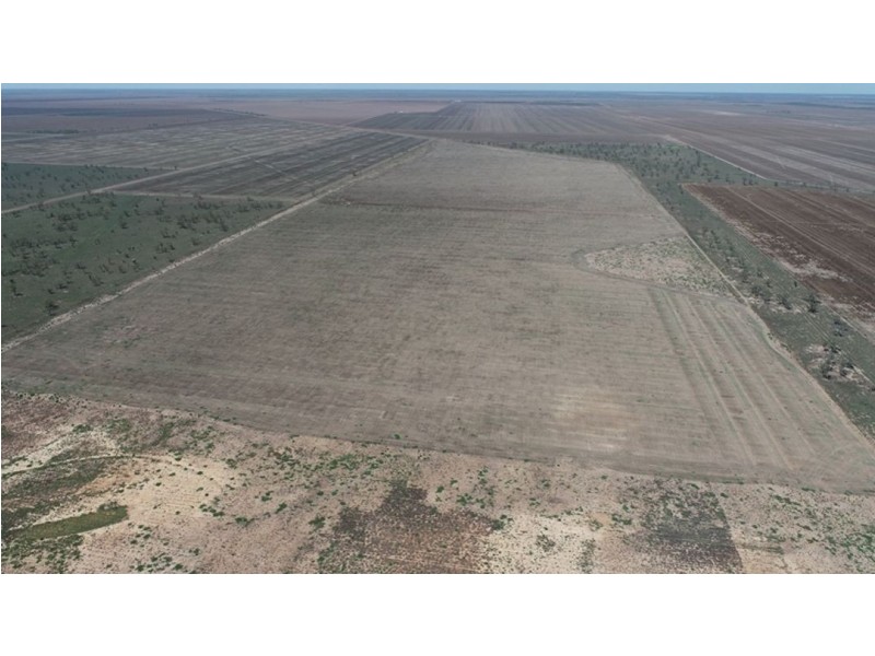 Congewoi, Walgett NSW 2832
