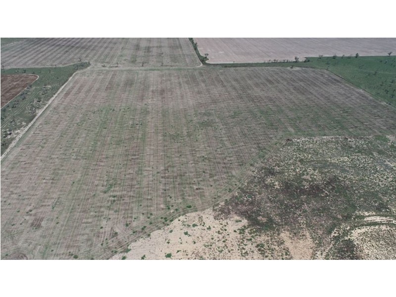Congewoi, Walgett NSW 2832