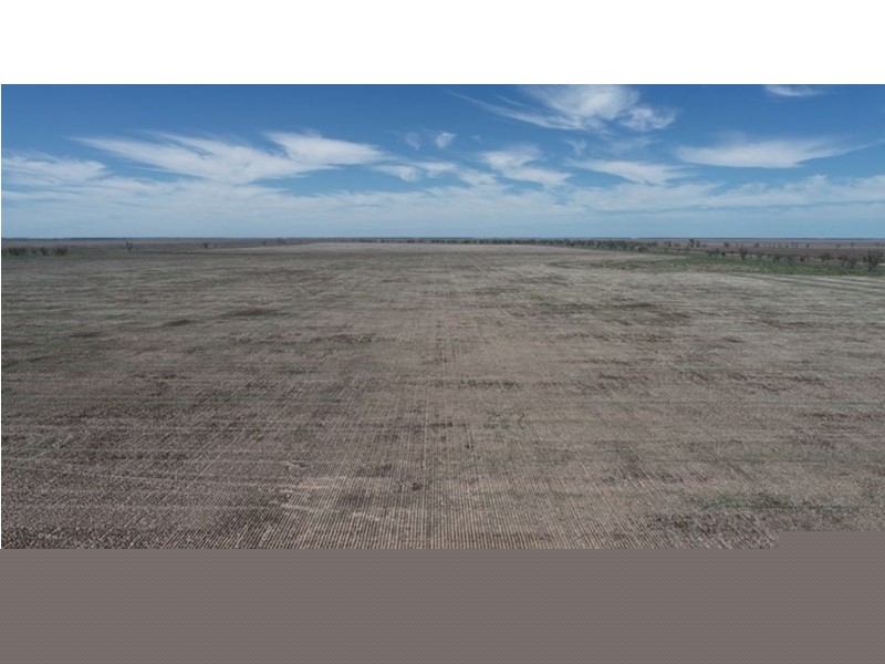 Congewoi, Walgett NSW 2832