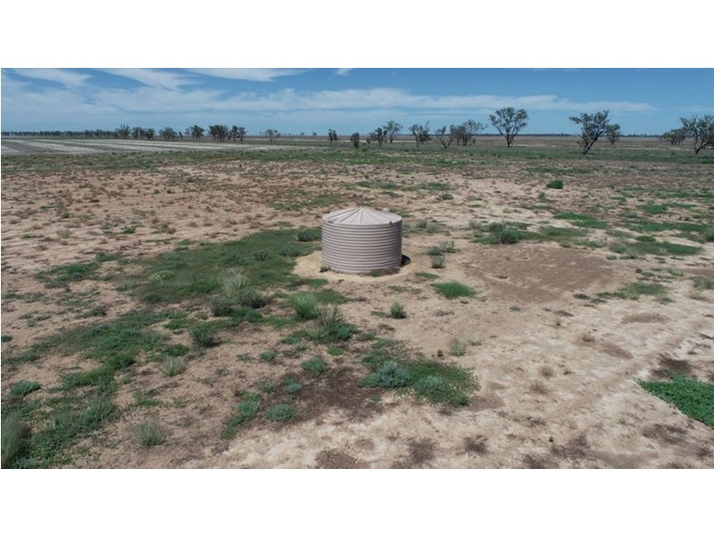 Congewoi, Walgett NSW 2832