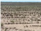 Congewoi, Walgett NSW 2832