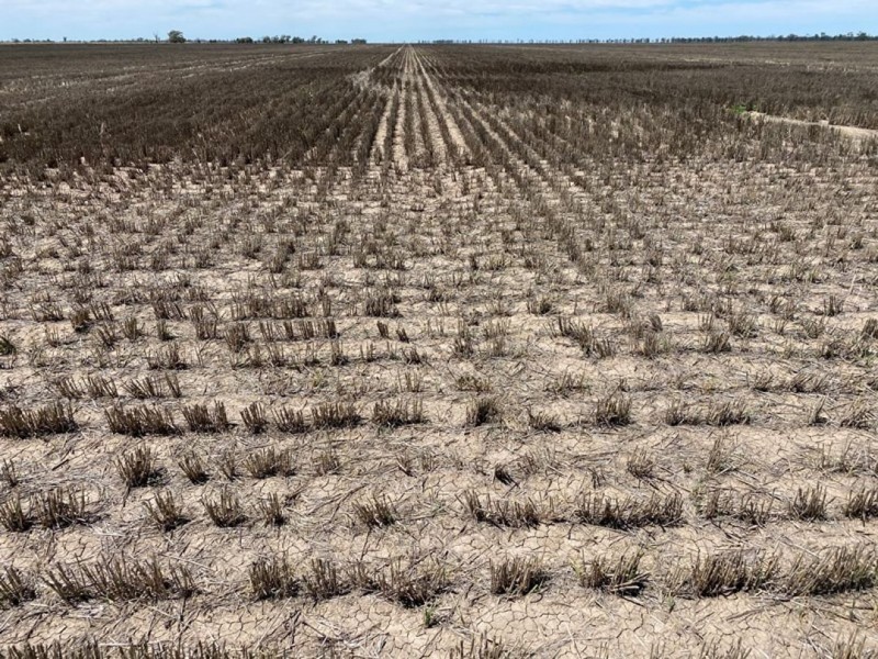 Congewoi, Walgett NSW 2832