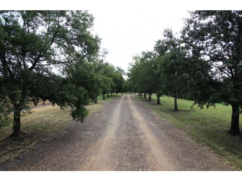 Walkden Kooroogamma Road, Moree NSW 2400