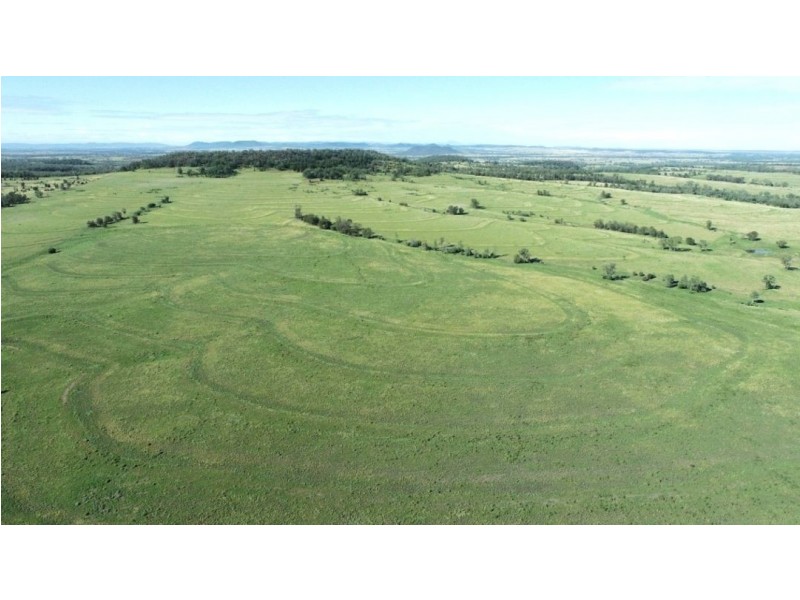 London, Pallamallawa NSW 2399