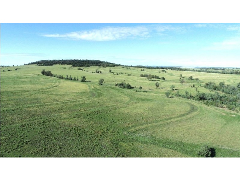 London, Pallamallawa NSW 2399