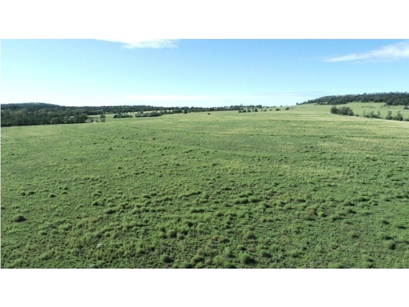 London, Pallamallawa NSW 2399