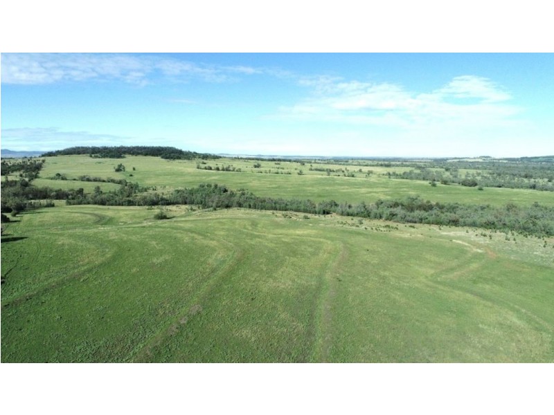 London, Pallamallawa NSW 2399