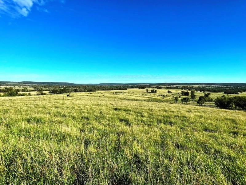 London, Pallamallawa NSW 2399