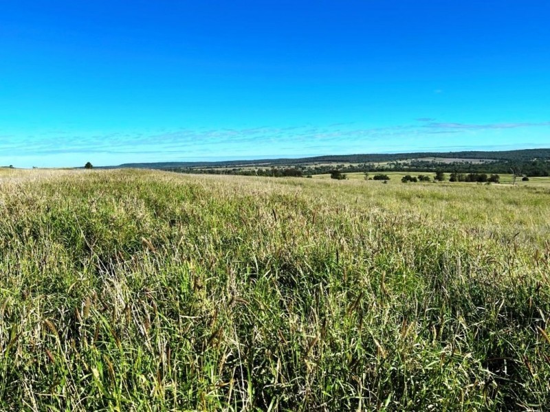 London, Pallamallawa NSW 2399