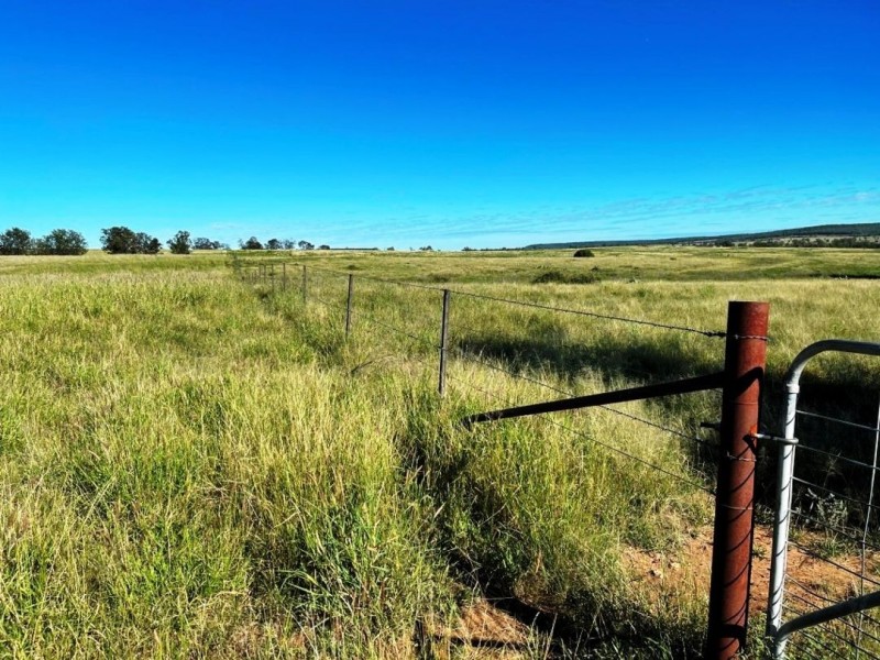 London, Pallamallawa NSW 2399