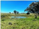 London, Pallamallawa NSW 2399