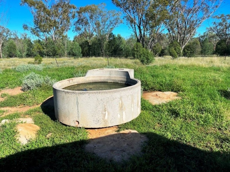 London, Pallamallawa NSW 2399