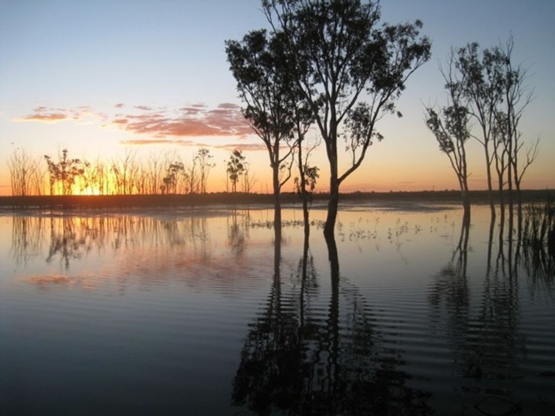 Lower Gwydir River & Bore Water Auction, Moree NSW 2400