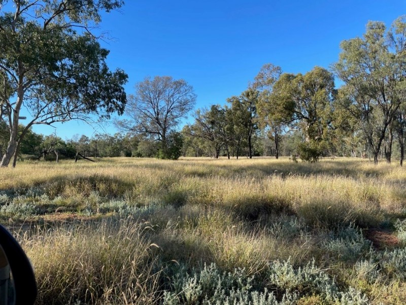 Bukulla – Lease, Collarenebri NSW 2833