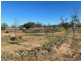 Bukulla – Lease, Collarenebri NSW 2833