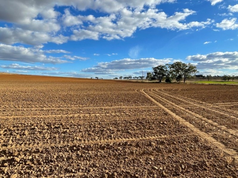 Bellevue Hill, Warialda NSW 2402