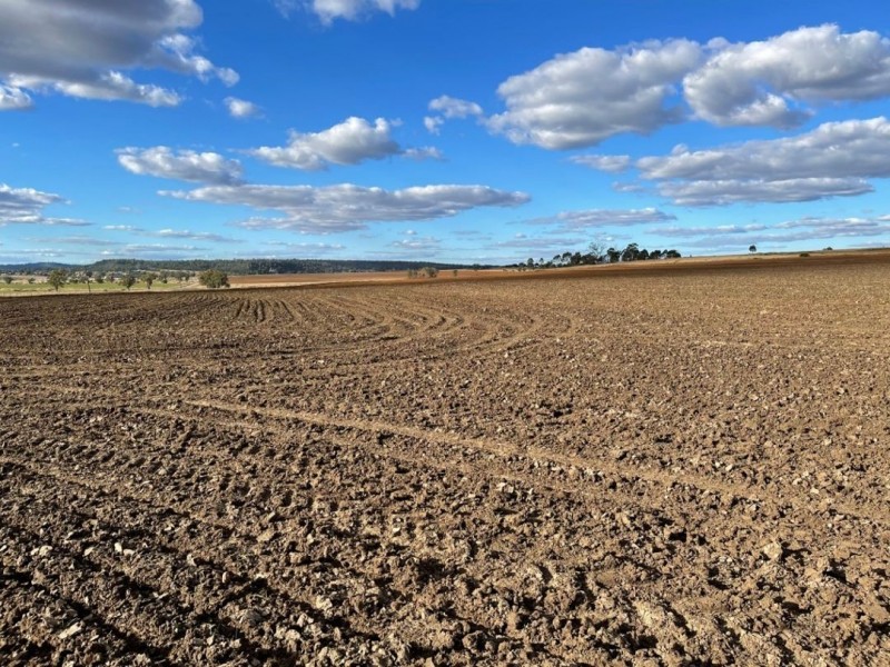 Bellevue Hill, Warialda NSW 2402