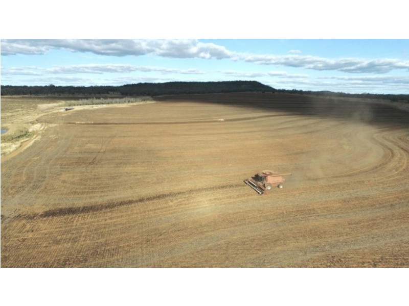 Bellevue Hill, Warialda NSW 2402