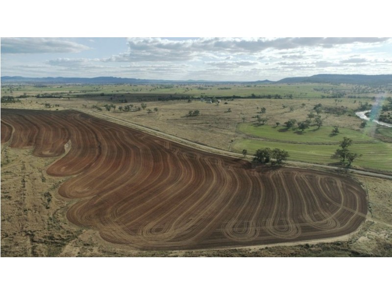 Bellevue Hill, Warialda NSW 2402