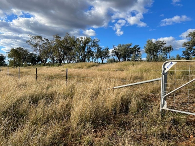 Bellevue Hill, Warialda NSW 2402