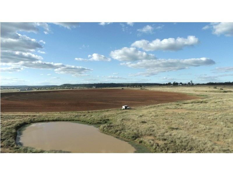 Bellevue Hill, Warialda NSW 2402