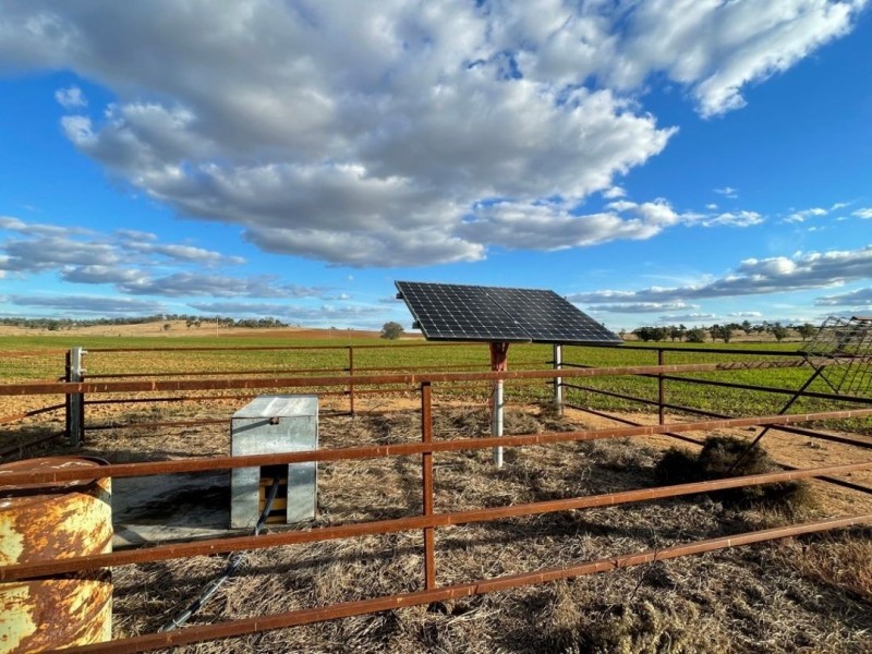 Bellevue Hill, Warialda NSW 2402