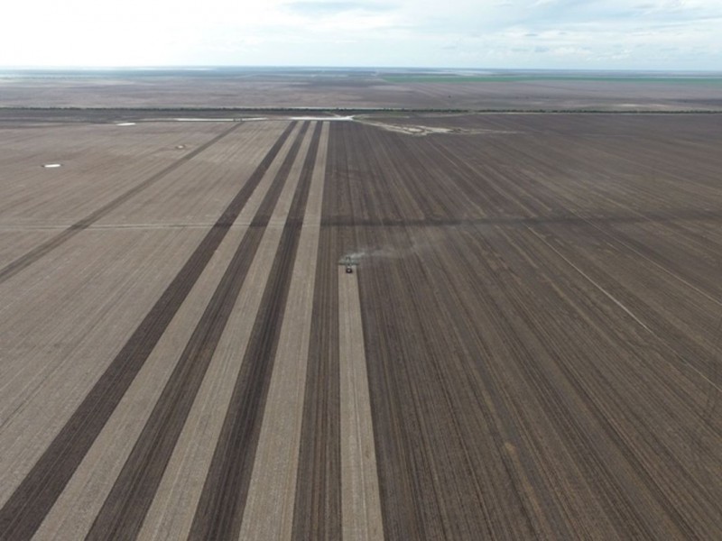 Milton Downs, Bellata NSW 2397