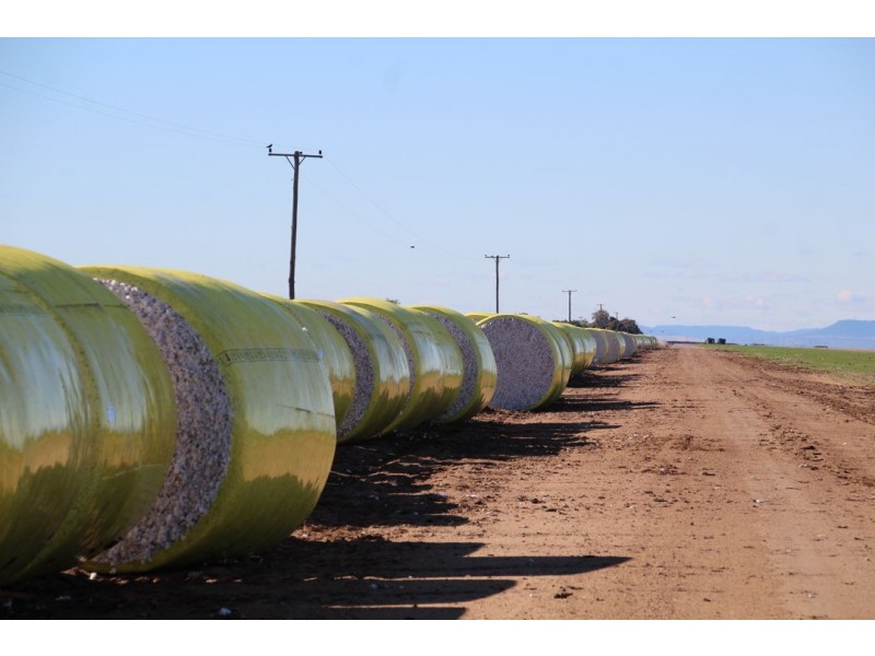 Milton Downs, Bellata NSW 2397