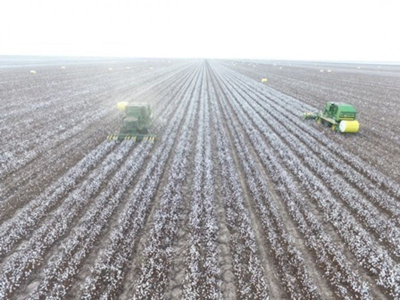 Milton Downs, Bellata NSW 2397