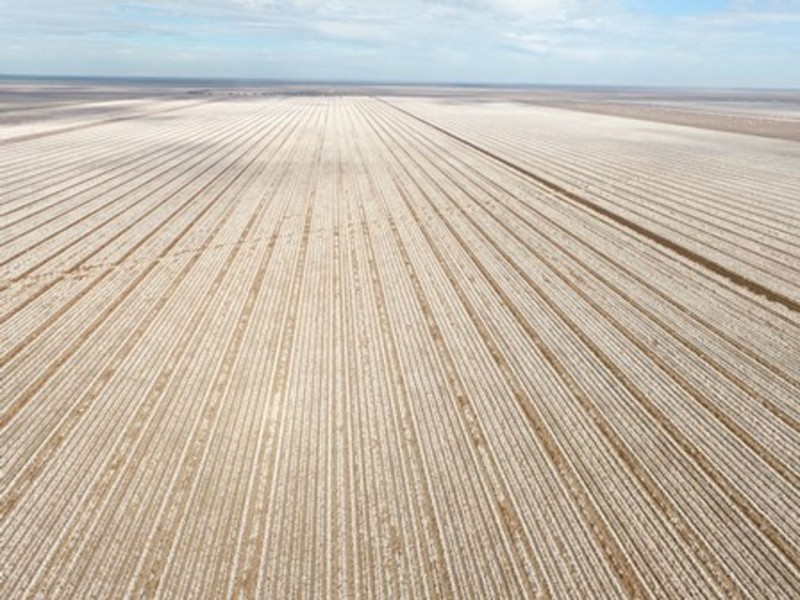 Milton Downs, Bellata NSW 2397