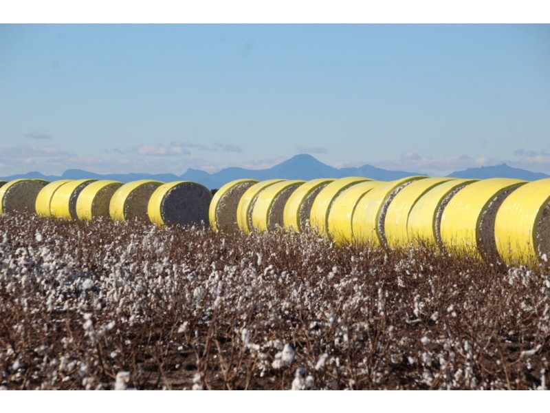 Milton Downs, Bellata NSW 2397