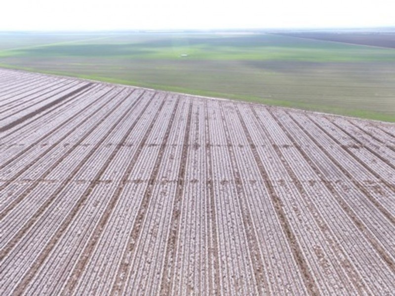 Milton Downs, Bellata NSW 2397