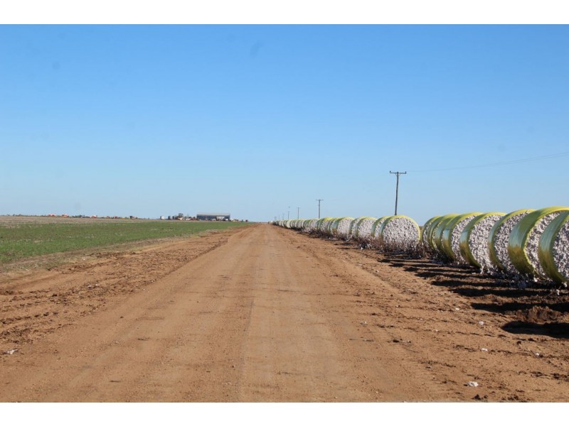 Milton Downs, Bellata NSW 2397