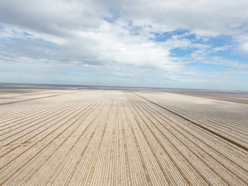 Milton Downs, Bellata NSW 2397