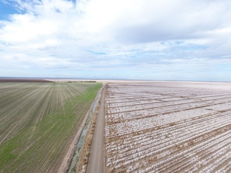 Milton Downs, Bellata NSW 2397