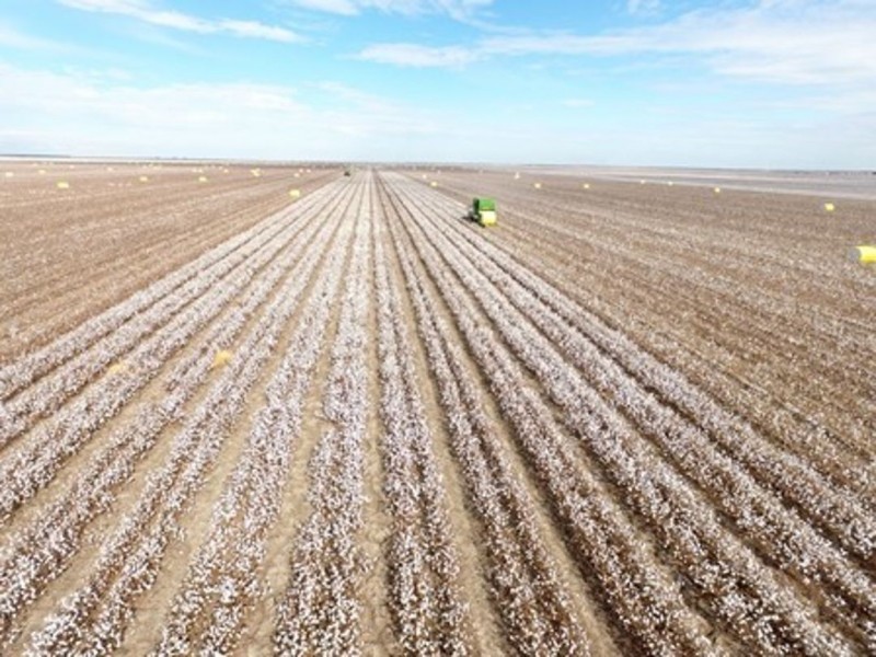 Milton Downs, Bellata NSW 2397