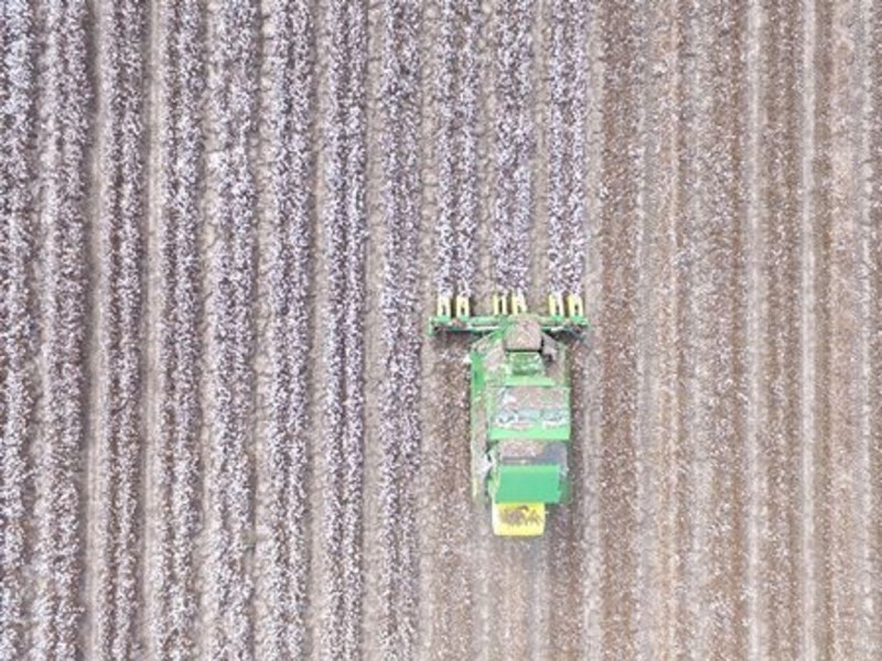 Milton Downs, Bellata NSW 2397