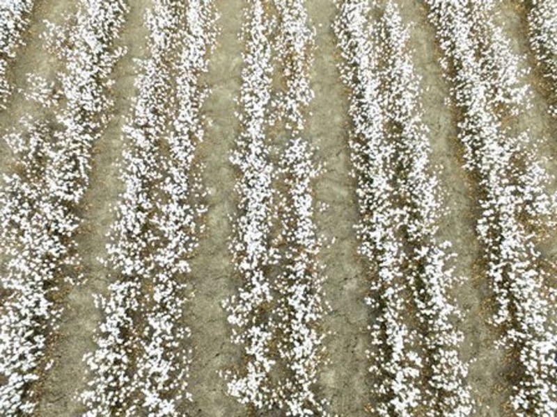 Milton Downs, Bellata NSW 2397