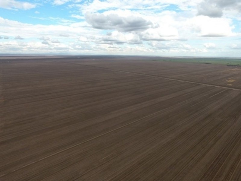 Milton Downs, Bellata NSW 2397