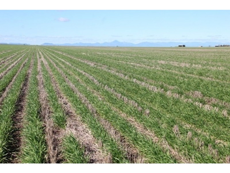 Milton Downs, Bellata NSW 2397