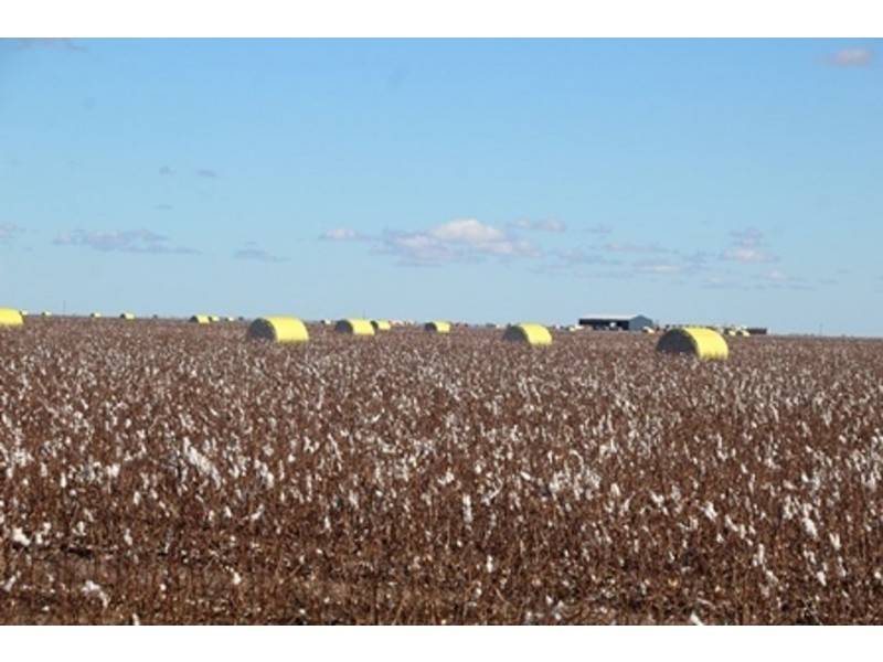 Milton Downs, Bellata NSW 2397