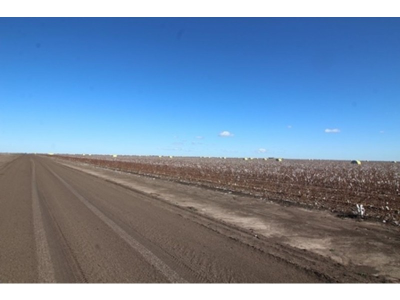 Milton Downs, Bellata NSW 2397